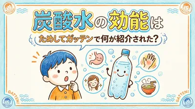 炭酸水の効能はためしてガッテンで何が紹介された？